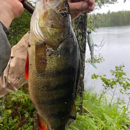 Fishing Red House Simpele