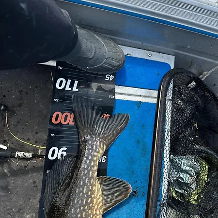 别墅 Red House 帕里卡拉