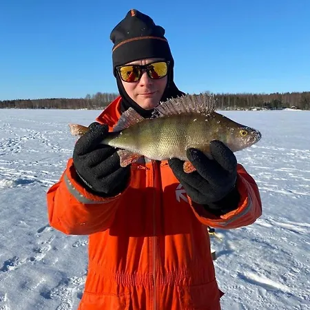 Villa Fishing Red House Simpele Parikkala