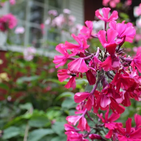 Red House Вилла Париккала