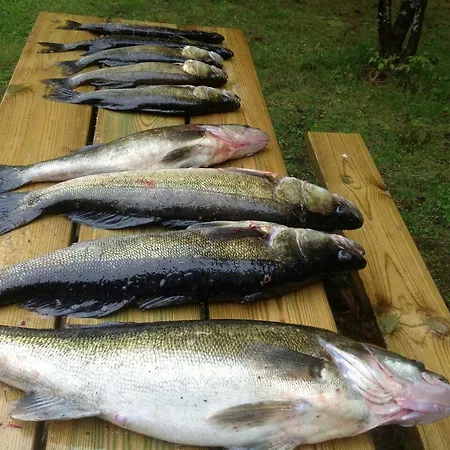 Red House 帕里卡拉