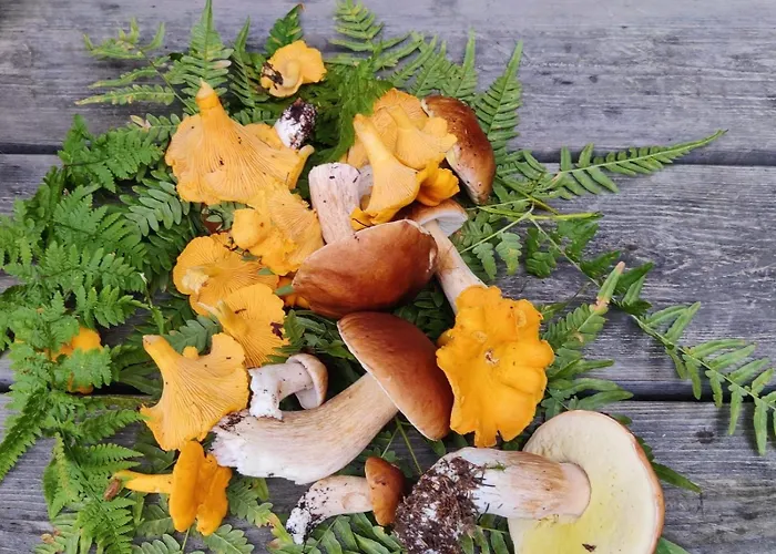 Villa Red House Parikkala