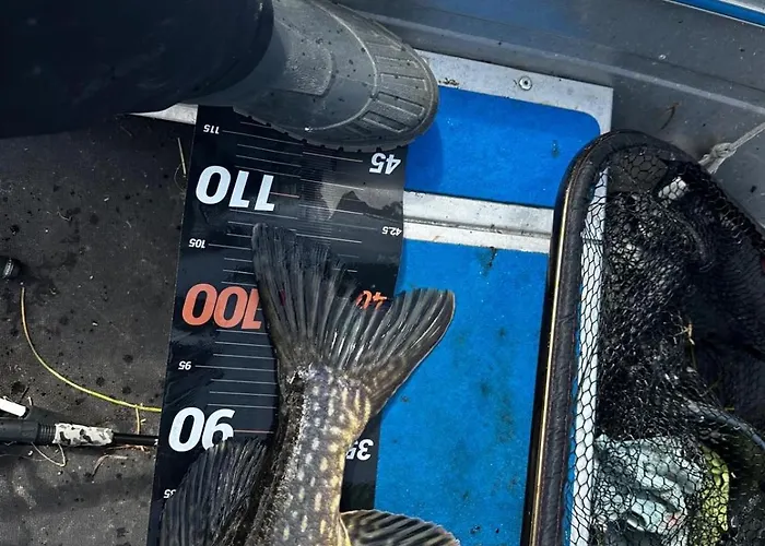 Villa Red House Parikkala