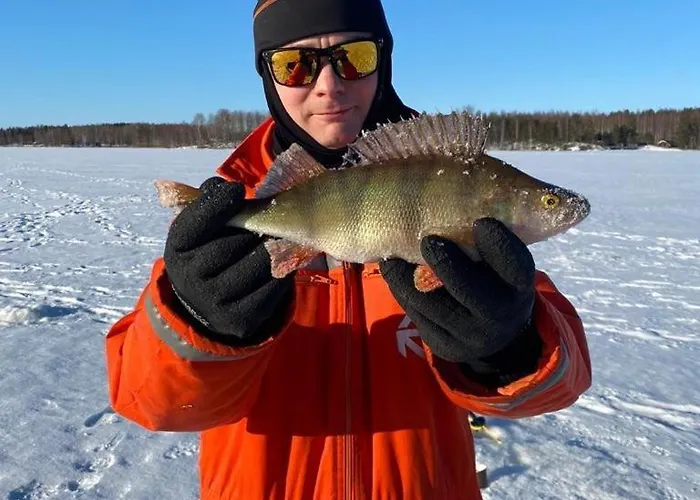 Villa Red House Parikkala