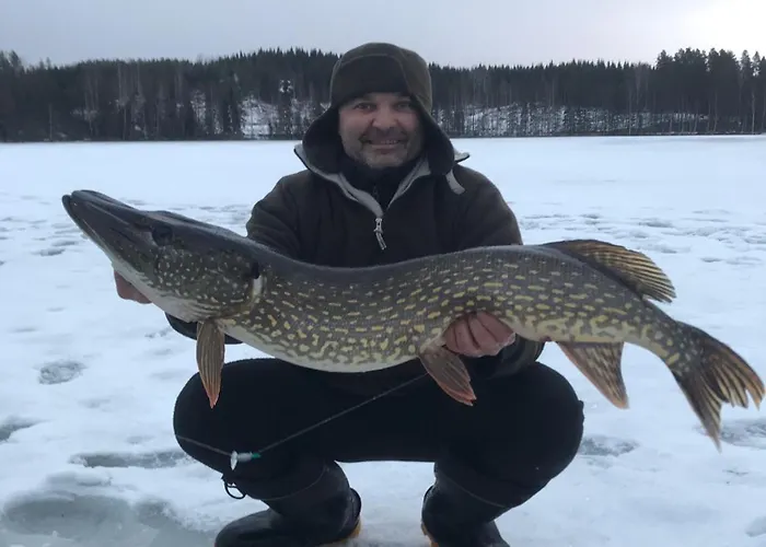 Red House Villa Parikkala