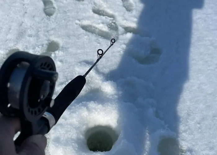 Villa Red House Parikkala