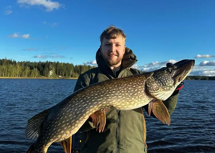 Red House Villa Parikkala