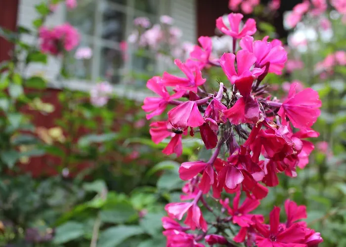 Red House Villa Parikkala